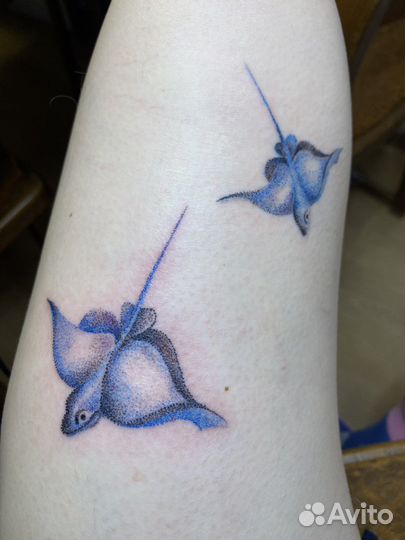 Начинающий мастер тату