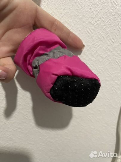 Комплект обуви для собак