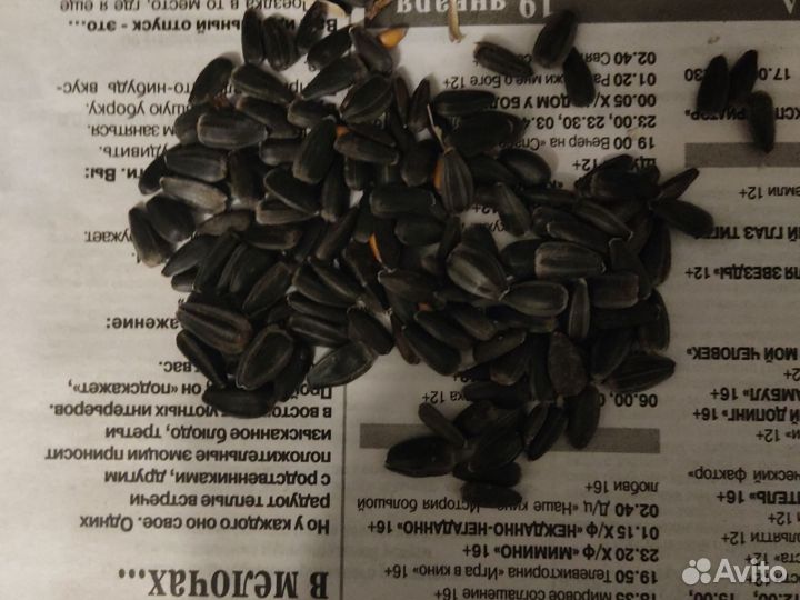 Подсолнечные семечки