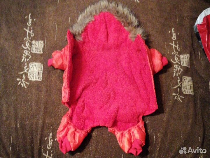 Одежда для маленьких собак