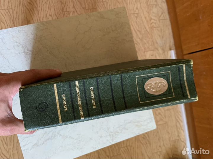 Советский энциклопедический словарь 1981