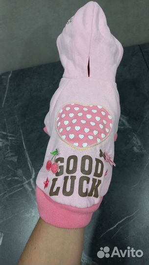 Толстовка для собак