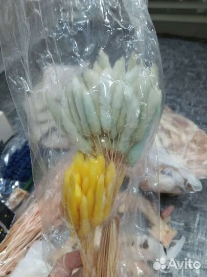 Стабилизированные цветы