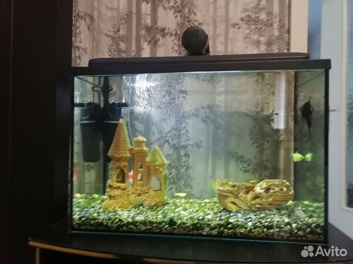 Аквариум