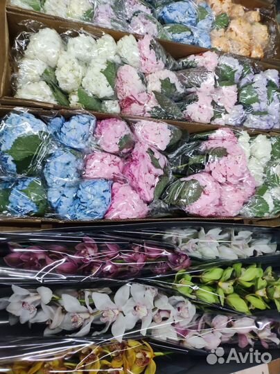 Свежесрезанные цветы оптом