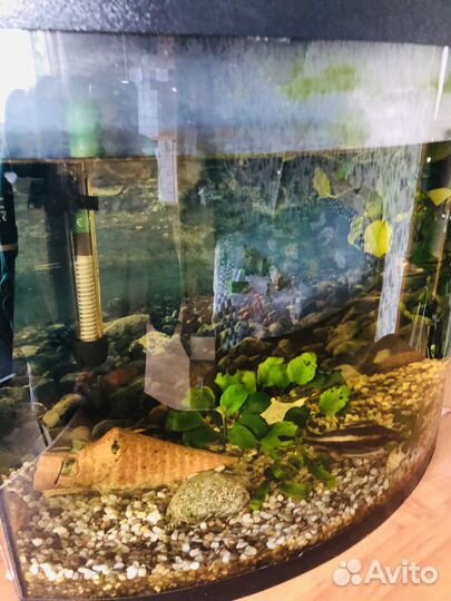 Аквариум с рыбками бу