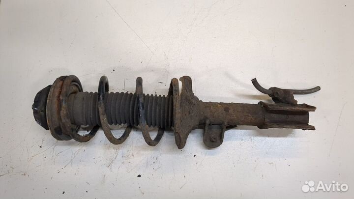 Амортизатор подвески Suzuki Alto 2009, 2009