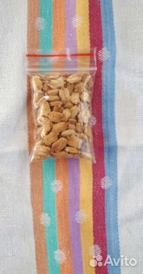 Момордика семена 10шт. 50рублей