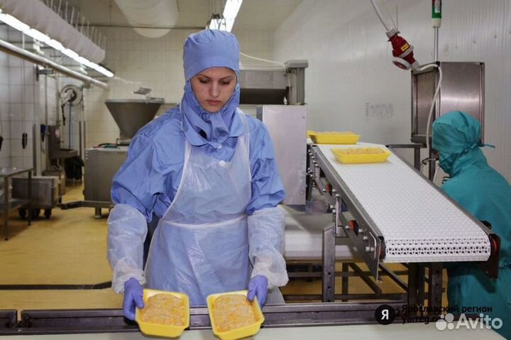 Упаковщик ежедневная оплата