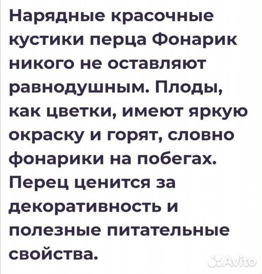 Семена коробочка Перчик фонаррик