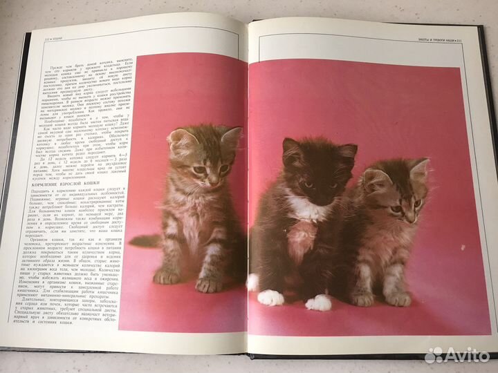 Подарочное издание альбом атлас Кошки