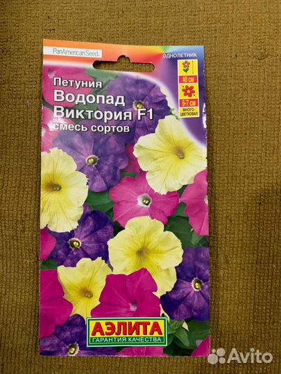 Рассада петунии