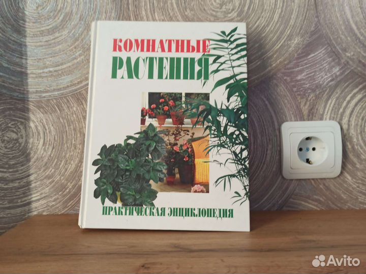 Энциклопедия комнатные растения, 2004, 368 стр