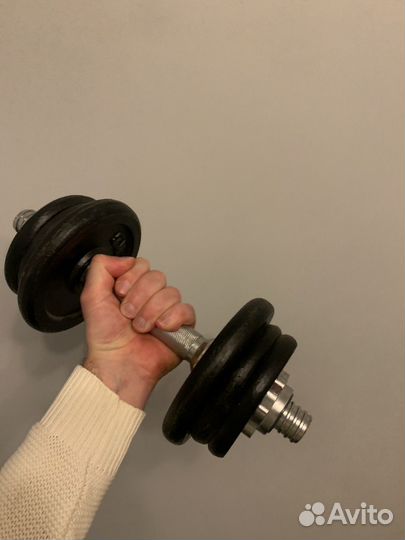 Гантели разборные 10 кг
