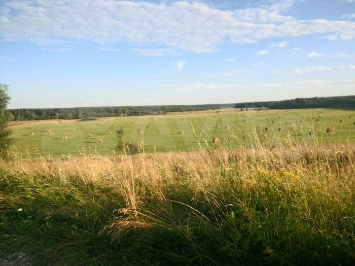 Участок 3,5 га (СНТ, ДНП)