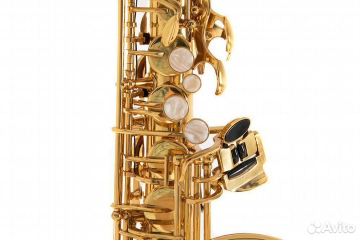 Саксофон альт Roy Benson AS-201