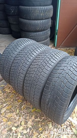 Gislaved Euro Frost 6 205/55 R16 91H