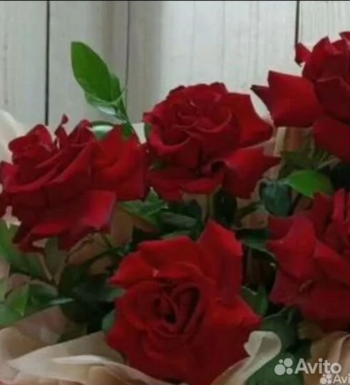 Французские розы Букет Доставка Самовывоз