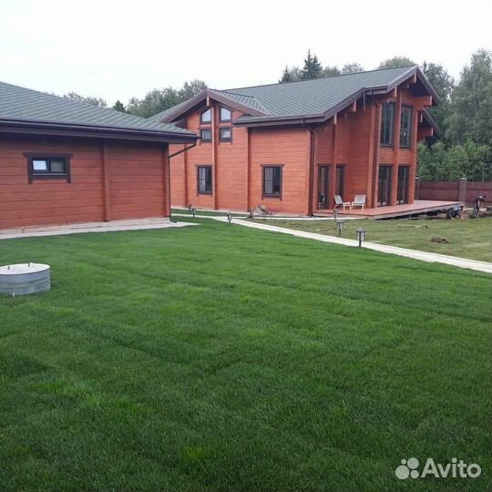 Рулонный газон /продажа/укладка