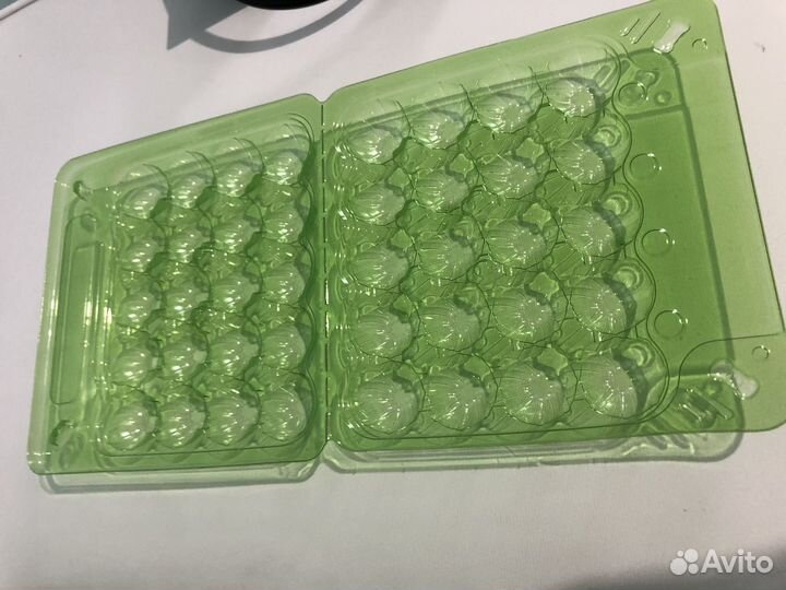 Упаковка блистерная для перепелинного яйца