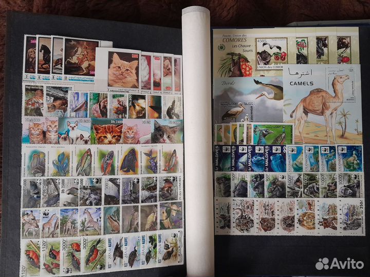 Марки чистые фауна альбом 2
