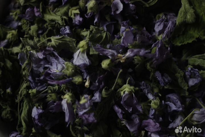 Мальва (травяной чай)