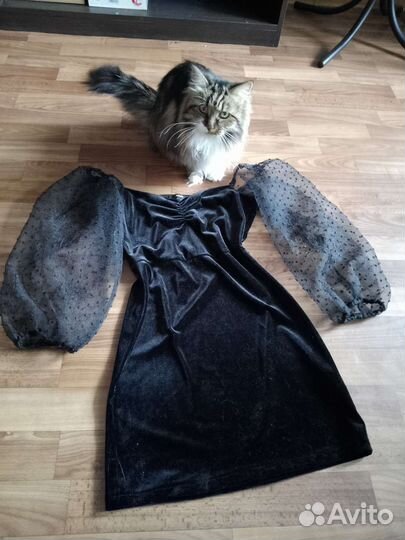 Вещи для девушки (42-44)