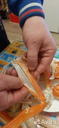 Рыба море продукты