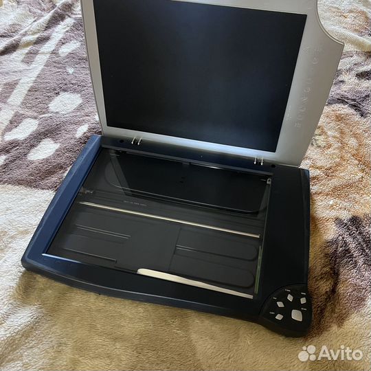 Сканер Bear Paw