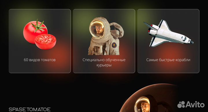 Дизайнер /Дизайн сайта/лендинг/баннер