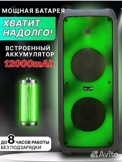 Колонка Eltronic 20 56