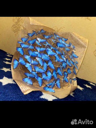 Букет из бабочек