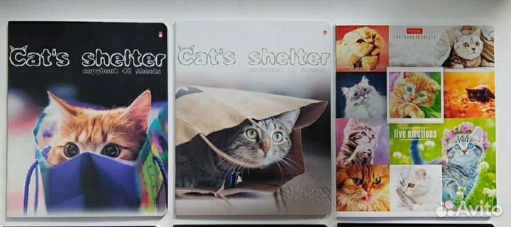 Тетради клетка, линейка. Папка