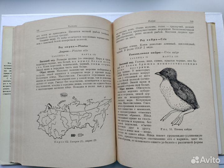 Справочник Птицы СССР, 1968 год
