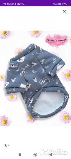 Одежда для собак мелких пород