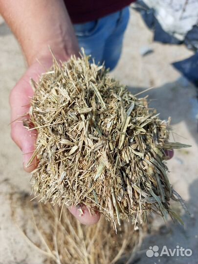 Зерновые отходы под компост и удобрения