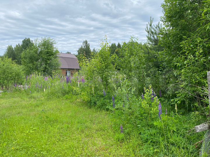 Участок 18 сот. (СНТ, ДНП)