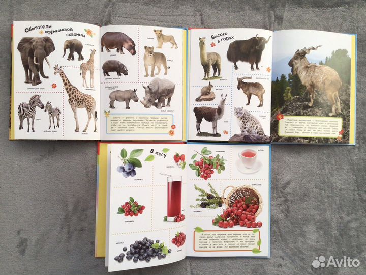 Книги для детей(Энциклопедия для малышей) росмэн