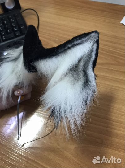 Ушки собачьи, высокие