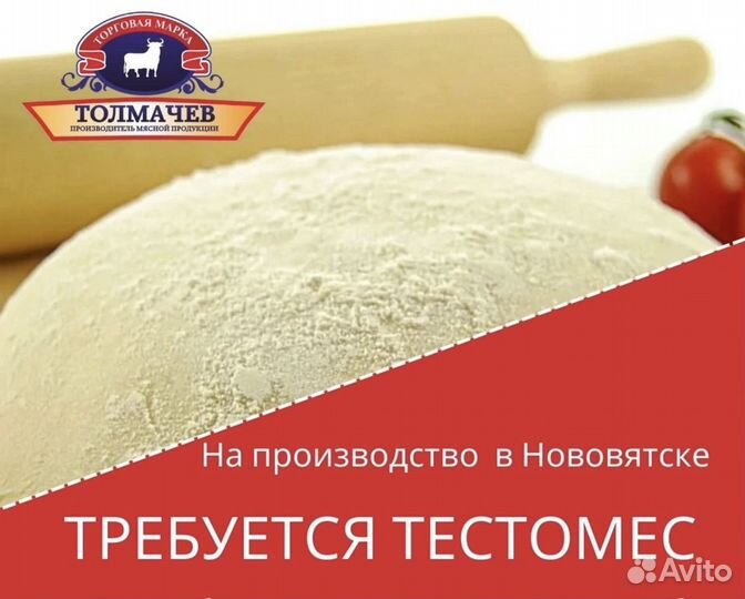 Тестовод