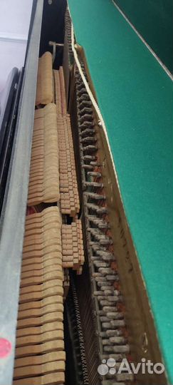 Пианино кубань