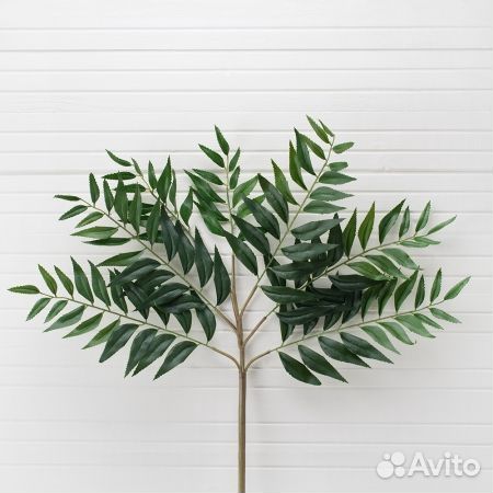 Искусственные растения