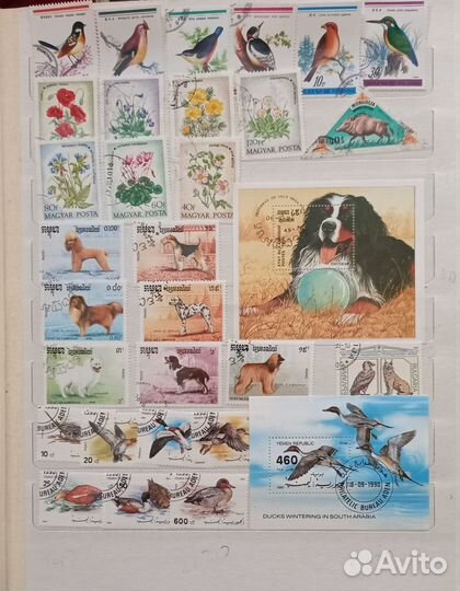 Почтовые марки из коллекции (Флора-Фауна)
