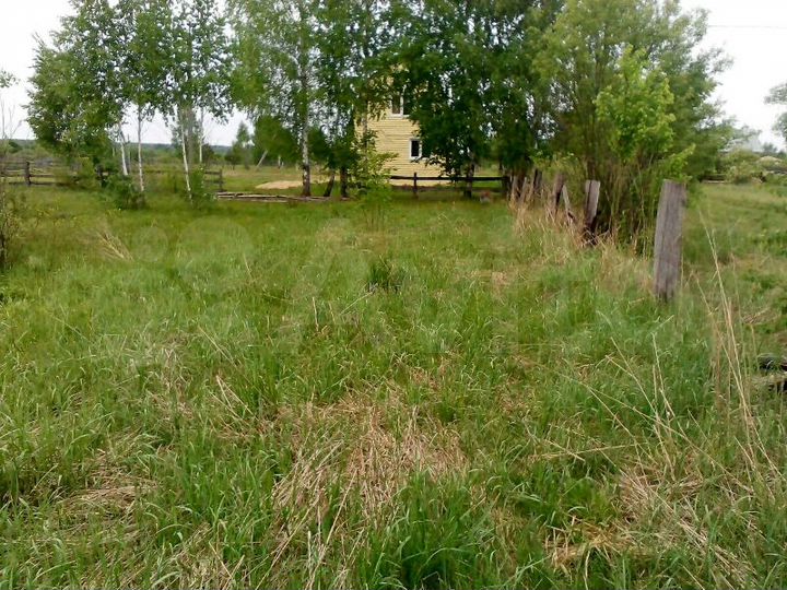 Участок 25 сот. (ИЖС)