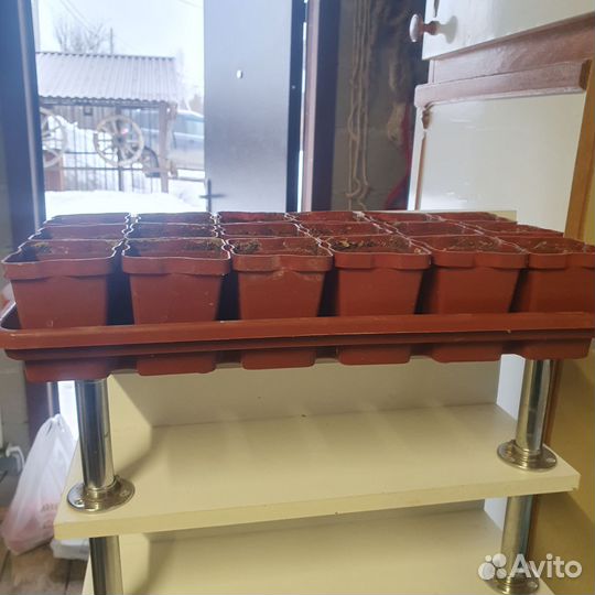 Контейнеры