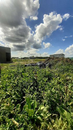 Участок 6 сот. (СНТ, ДНП)