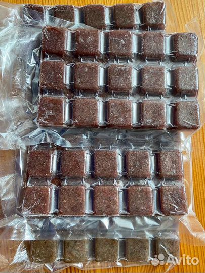 Артемия, мотыль