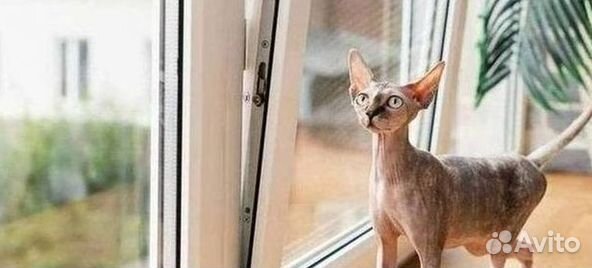 Пластиковые окна на заказ