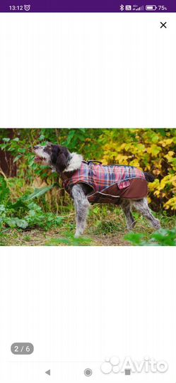 Попона зимняя для собак