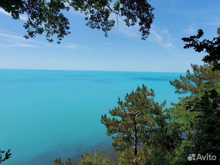 Ежедневные поездки на море из Краснодара